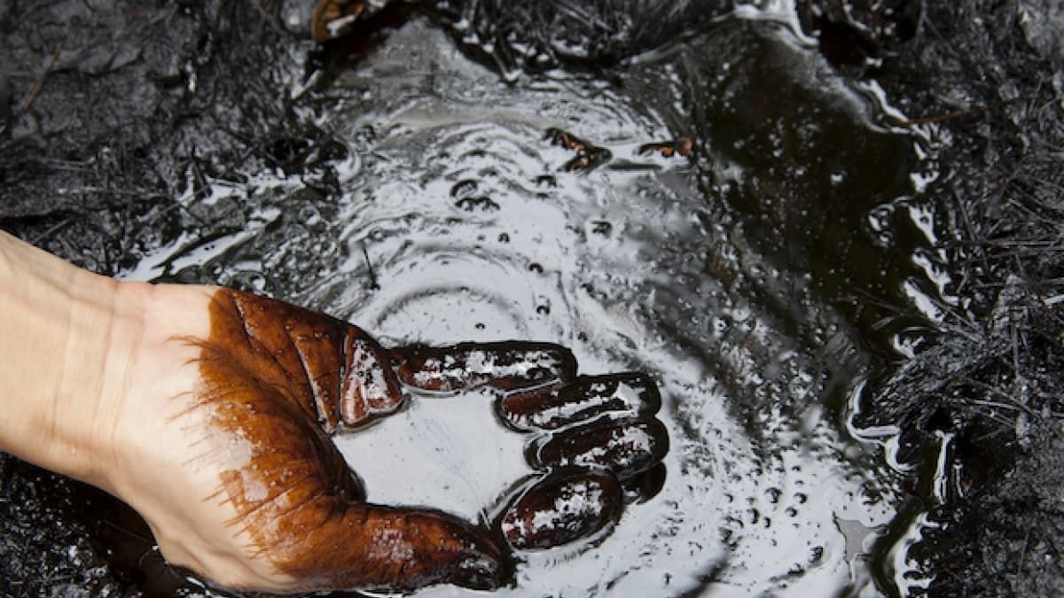 Bakan Dönmez'den 'yeni keşif' açıklaması