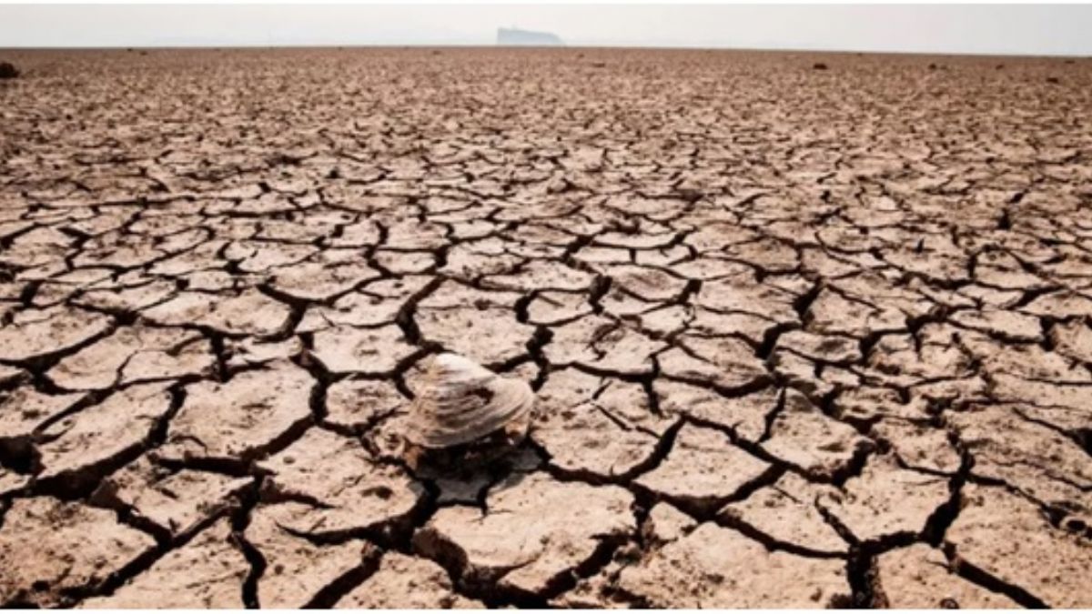 Uzmanlar uyarıyor, 2023 daha sıcak olacak