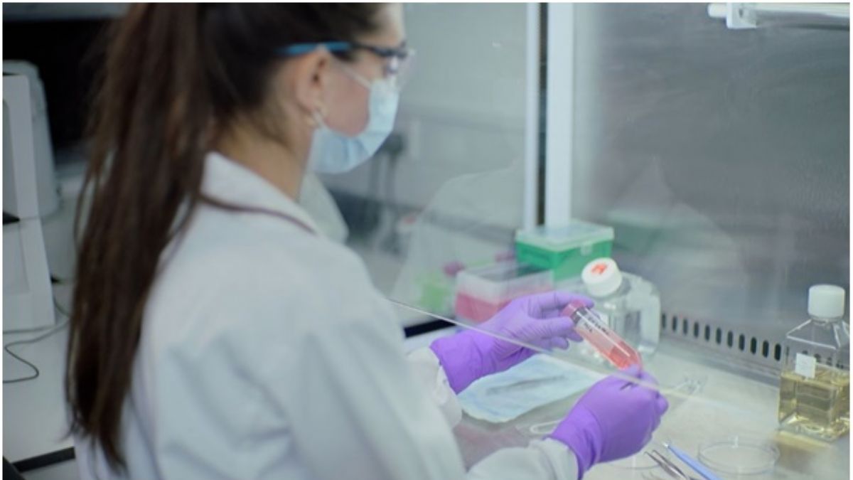 Laboratuvarda yetiştirilen et yakında akşam yemeği için servis edilecek