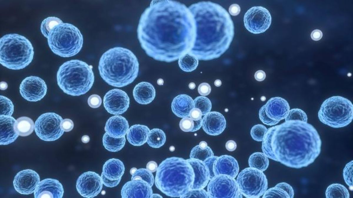 İngiltere'de 'Strep A' bakterisi nedeniyle 21'i çocuk 94 kişi öldü