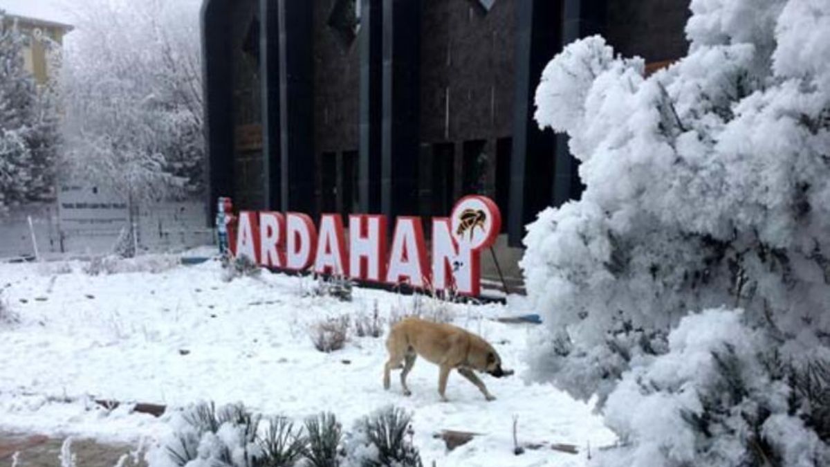 Ardahan eksi 14,8 ile dondu