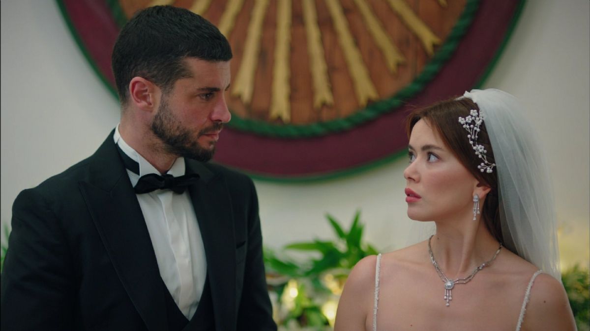 Bir Küçük Gün Işığı 17. bölüm izle full