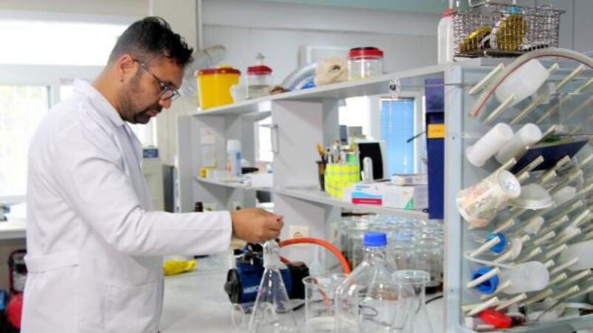 Konserve balıktan mikroplastik çıktı