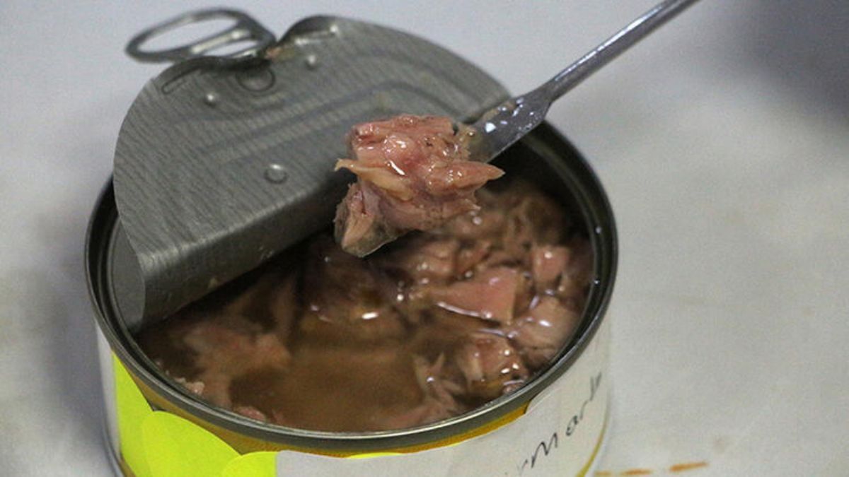 Konserve balıktan plastik parçaları çıktı!