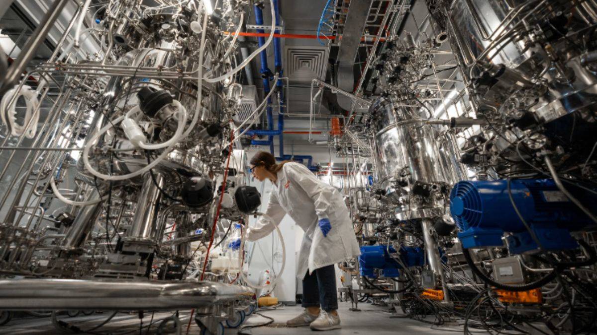 Dünyanın ilk yapay et fabrikası İsrail’de açıldı