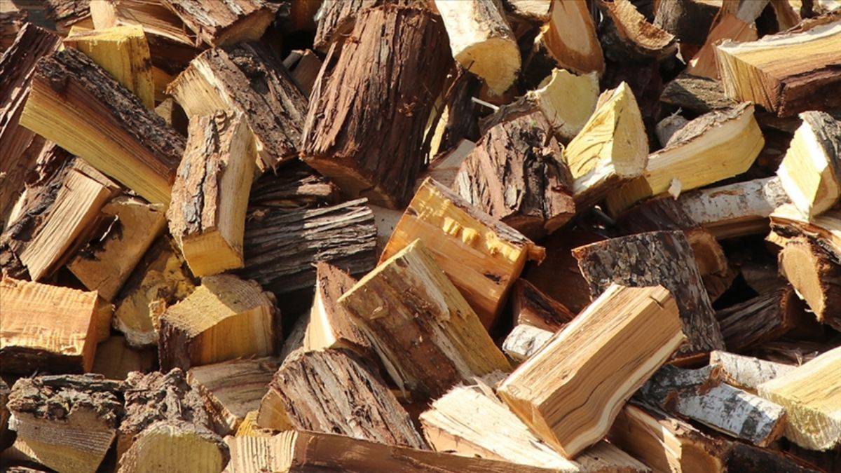 Fransa: Kuponu getir, odunu götür