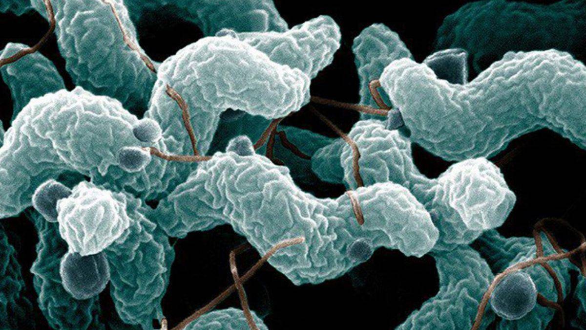 İngiltere'de yeni bakteri paniği: En az 30 çocuk hayatını kaybetti