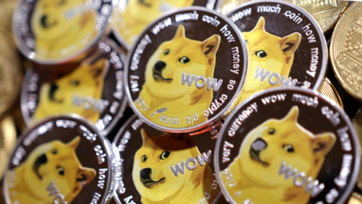 'Dogecoin'in simge köpeği kansere yakalandı