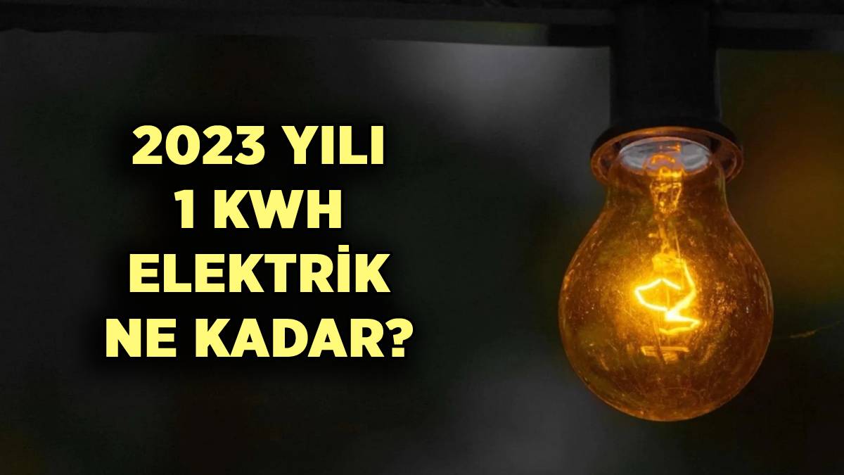2023 yılı 1 kwh elektrik kaç TL? Evlerde 1 kilovat elektrik ne kadar?