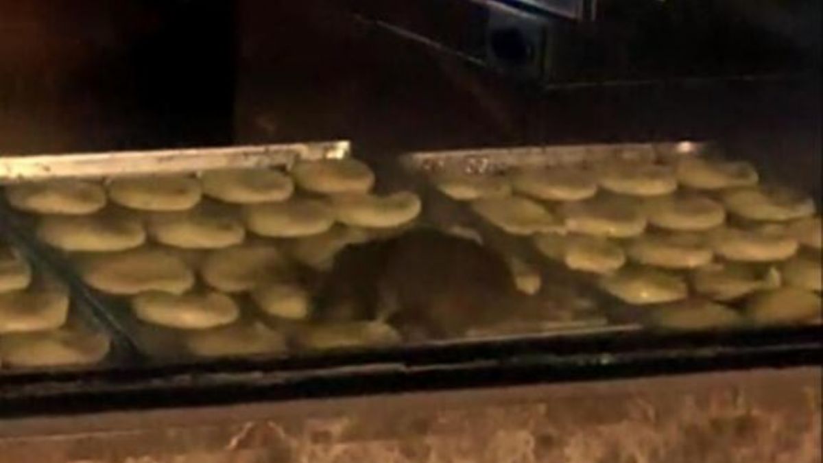 Çerkezköy'deki fareli dükkan kapandı mı, mühürlendi mi?