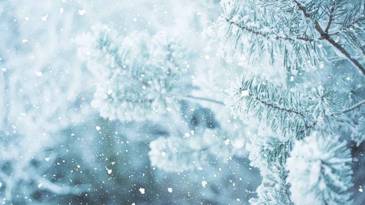 Amansız elli soğukları nedir, ne kadar sürer, ülkemizde ne zaman başlayacak?