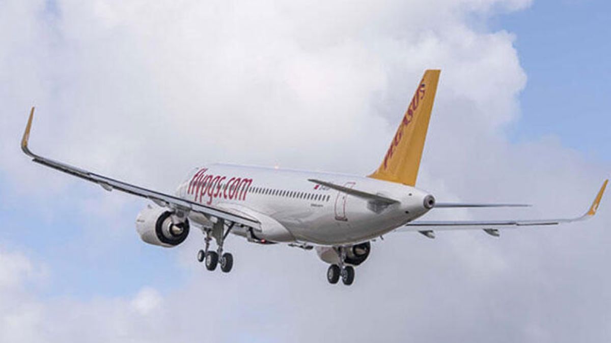 Pilot: Altımızdan tavşan geçti