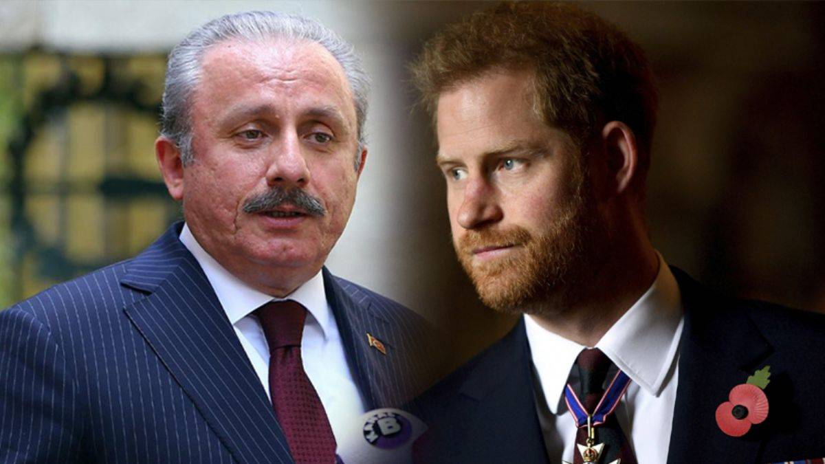 TBMM Başkanı Şentop'tan Prens Harry’ye sert tepki: Yani sen kimsin?