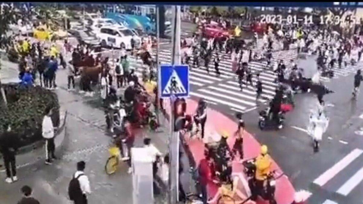 Aracıyla yayaların arasına daldı! 5 ölü, 13 yaralı