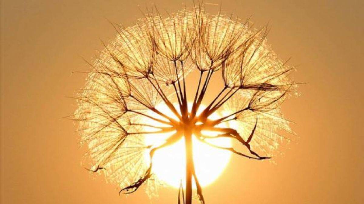 Küresel ısınma artıyor