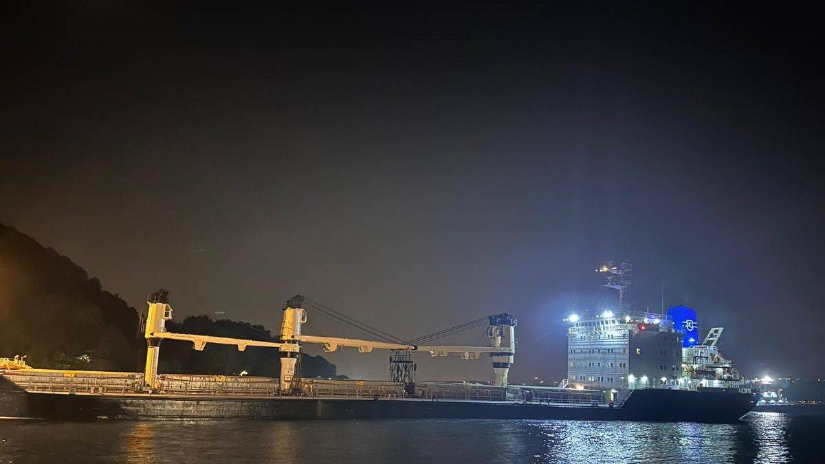 Yük gemisi İstanbul Boğazı'nda karaya oturdu