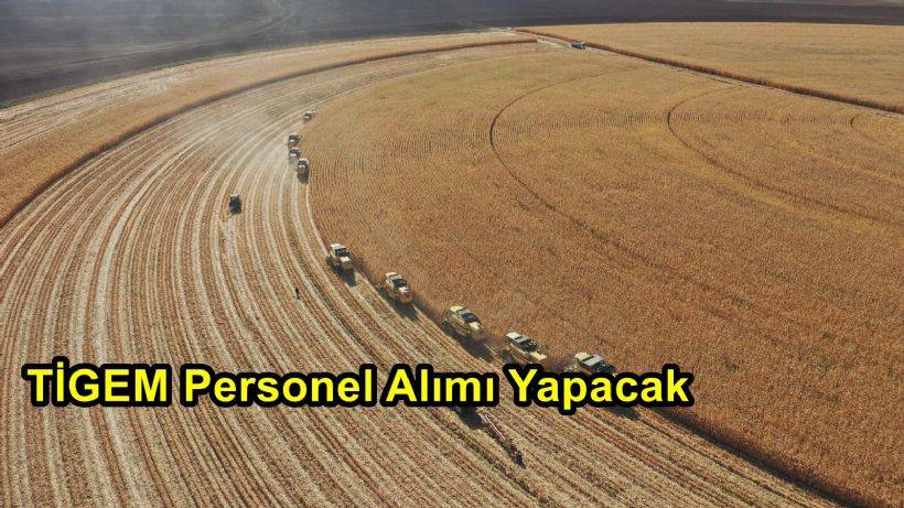 TİGEM Personel Alımı Yapacak!
