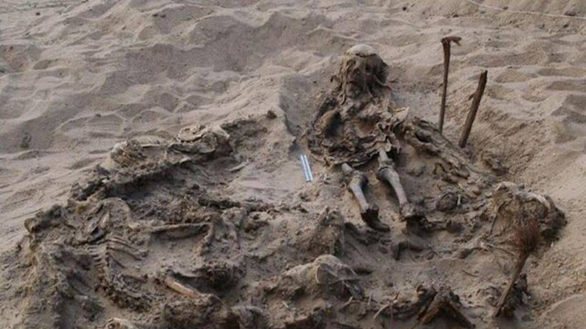 Mısır'da 142 köpeği olan bir çocuğun gizemli antik mezar yeri bulundu!