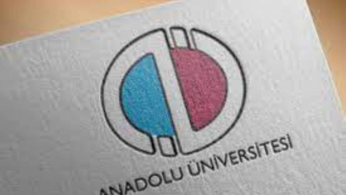 AÖF sınav sonuçları sorgulama ekranı