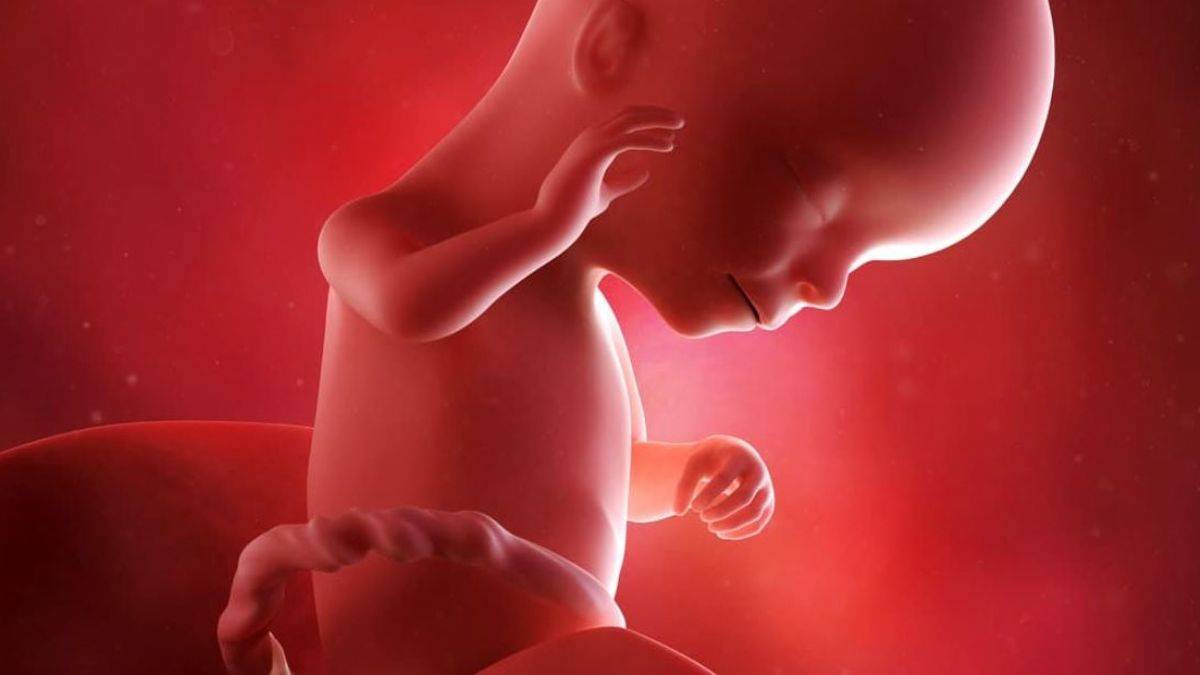 16 hafta hamilelikte anne ve bebekteki değişimler