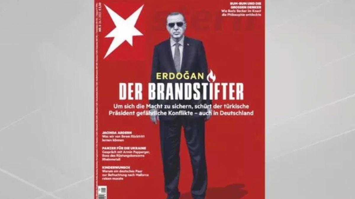 Hande Fırat: Ortak noktaları Erdoğan düşmanlığı