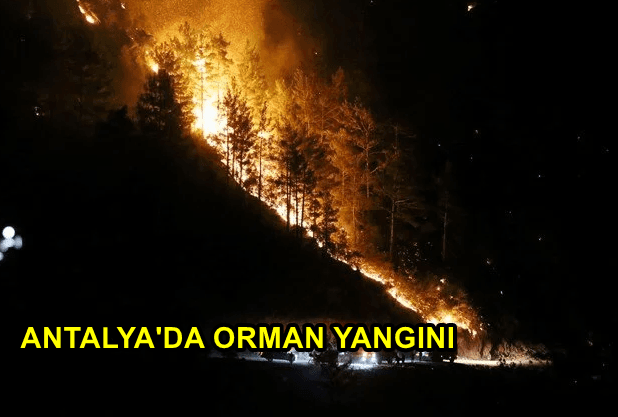 Alanya'da Korkutan Yangın! 4 Ayrı Noktada Orman Yangını Çıktı