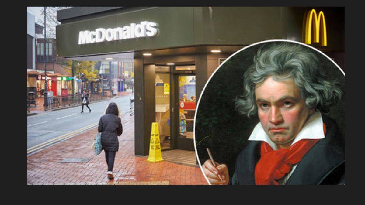 Kavgada çalışanları yaralanmıştı, artık klasik müzik çalınacak