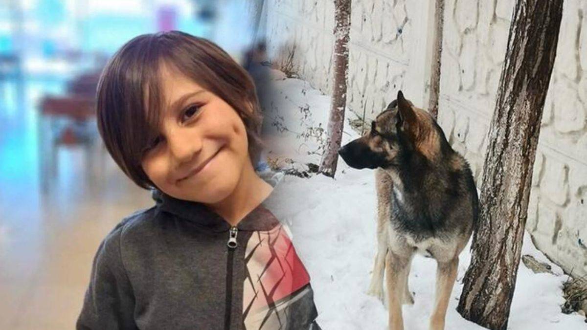 Köpek boynunu ısırdı! 10 yaşındaki Mete hayatını kaybetti
