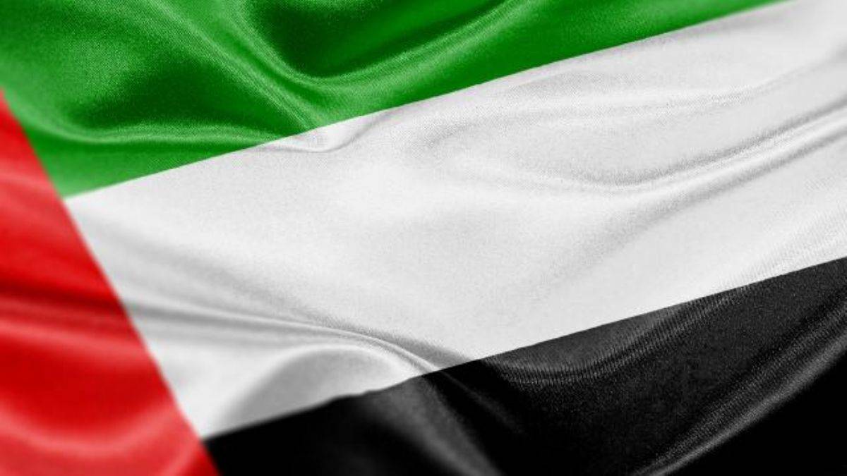 BAE'nin deprem nedeniyle Türkiye'ye insani yardımları devam ediyor