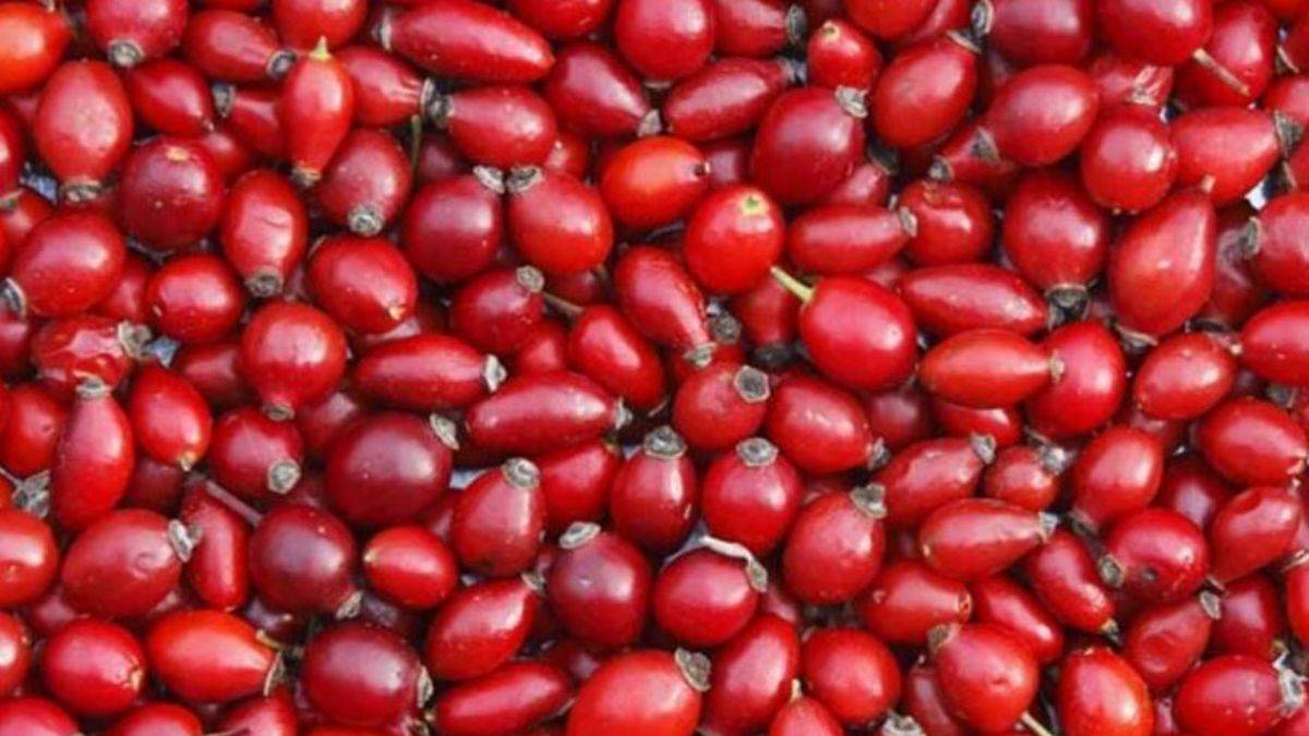 Kış hastalıklarına karşı birebir! Bağışıklığı güçlü tutuyor