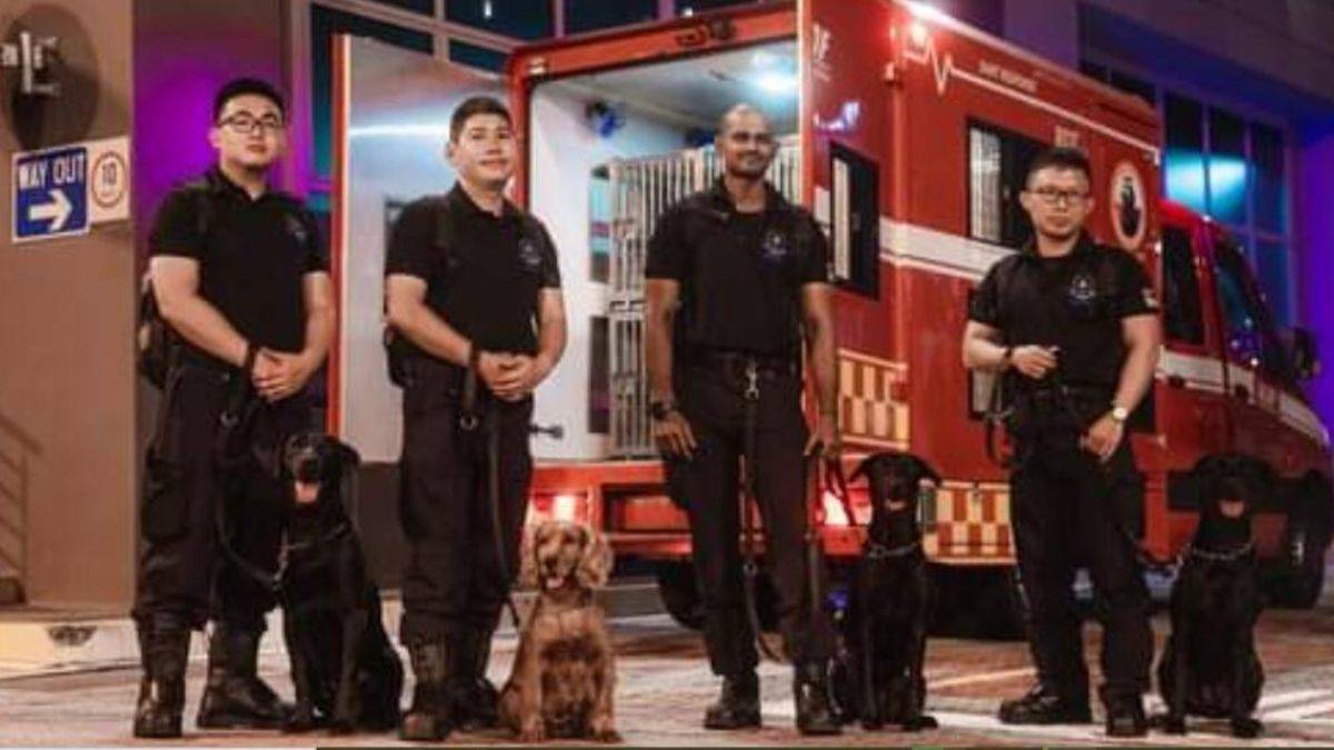 Singapur'dan deprem bölgesine yardım seferberliği