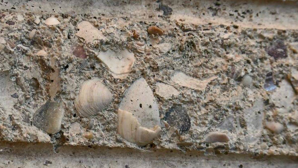 İstanbul çürük çıktı! Betondan kağıt, tahta, köpük çıkıyor