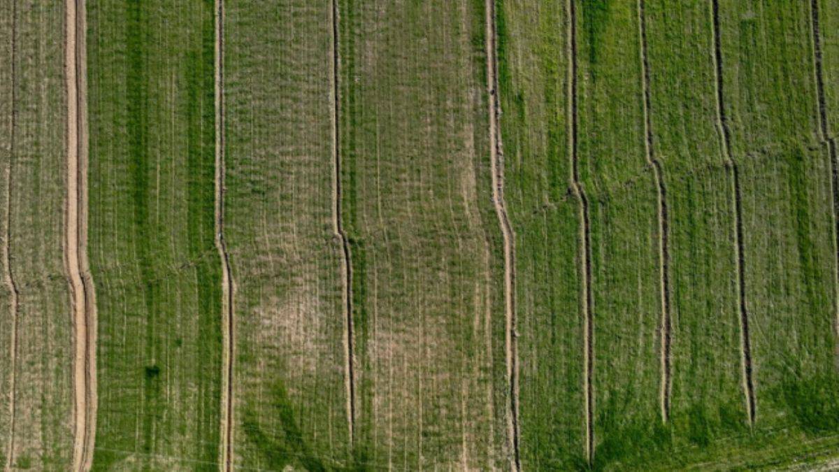 Zemin metrelerce kaydı, arazi sınırları değişti; Hukukçular ne diyor?