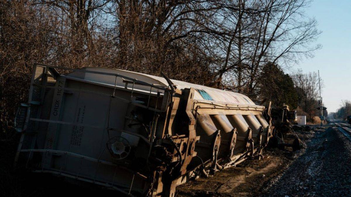 ABD'de zehirli kimyasal kazasının ardından on binlerce su canlısı öldü