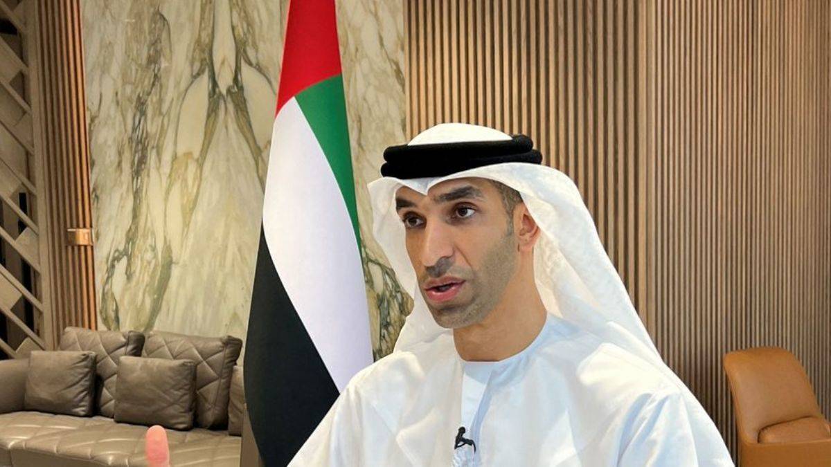 BAE'den Türkiye'ye yatırımla ilgili detaylı açıklama