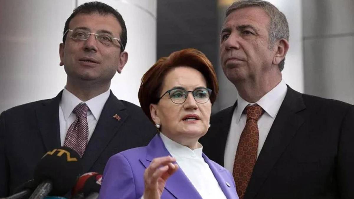 İcracı cumhurbaşkanı yardımcısı nedir görevleri nelerdir?