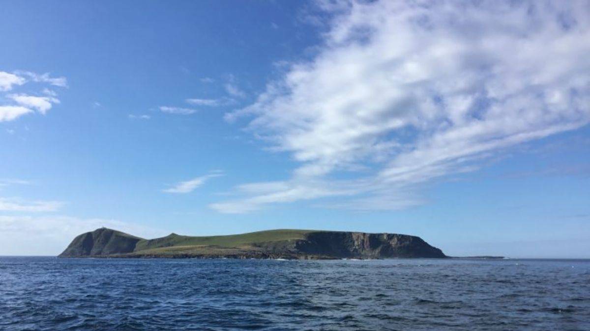 Issız adada çalışacak 2 'babayiğit' aranıyor: 'Rüya gibi iş'