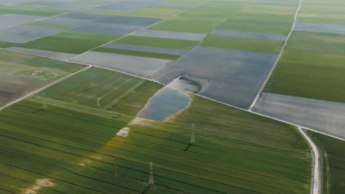 MTA raporu: Deprem bölgesinde 271 nokta tarandı