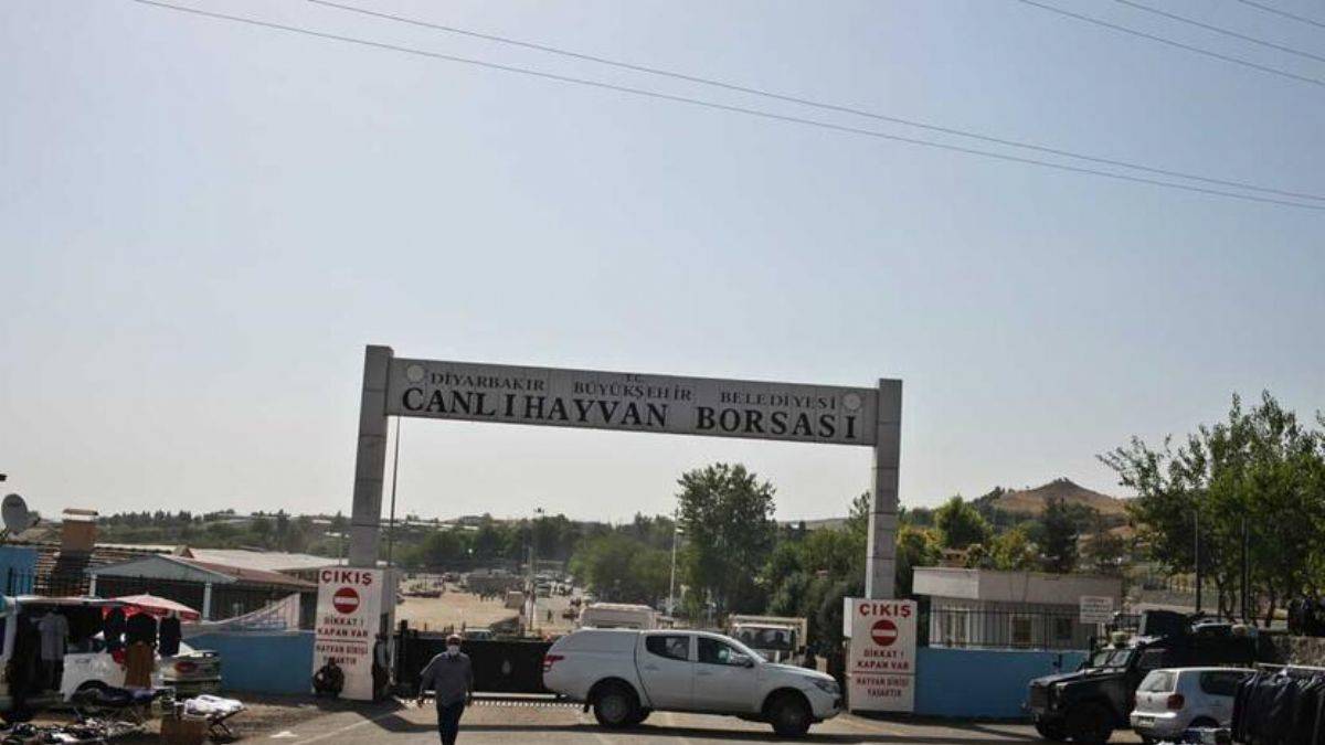 'Şap' krizinde son durum: Pazarlar kapatıldı!