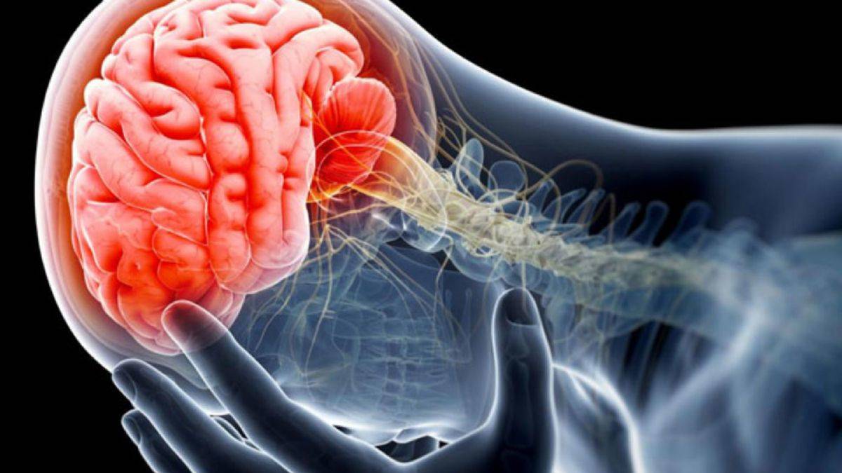 'Zihninizde Canlandırabildiğiniz Şey Beyin İçin Gerçek Demektir'