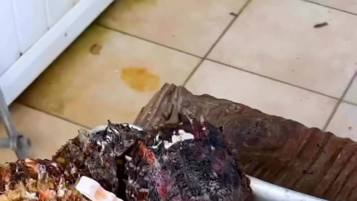 İstiridyelerin içindeki inci