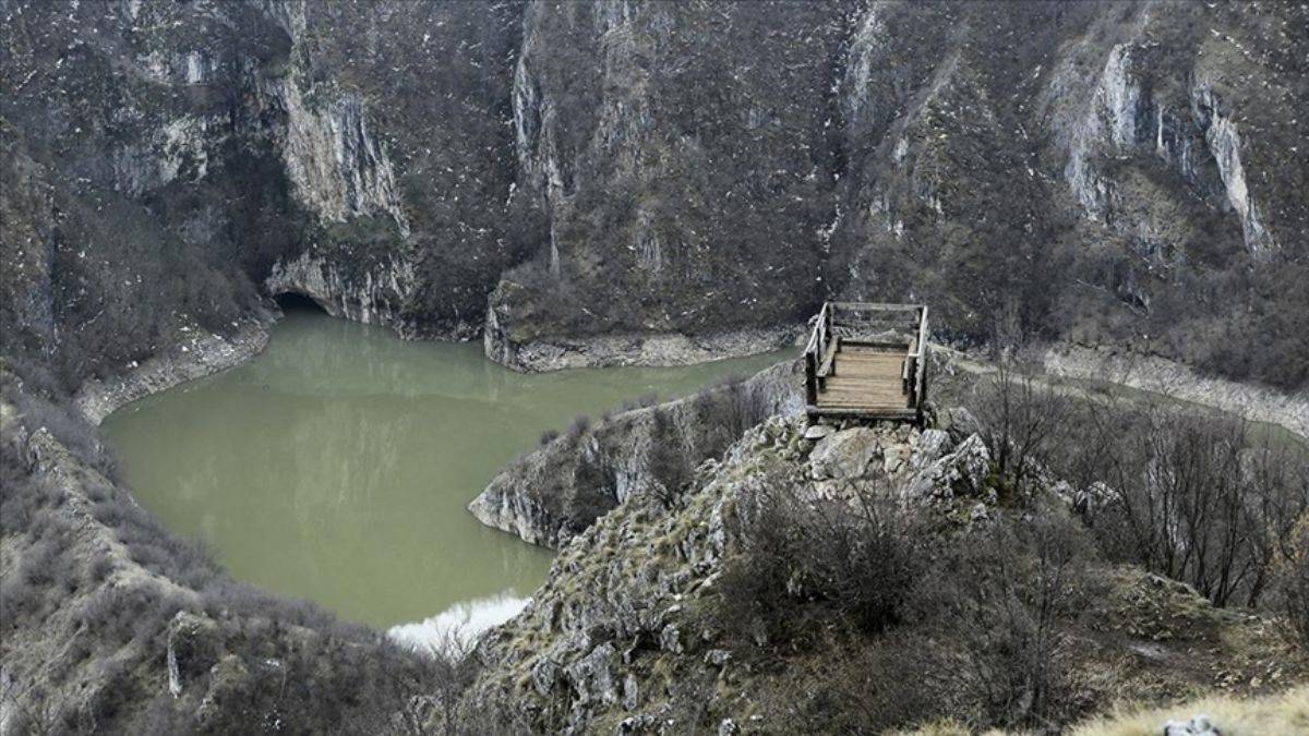 Sırbistan'da Sancak efsaneleri: Perili orman ve yalnız ağaç