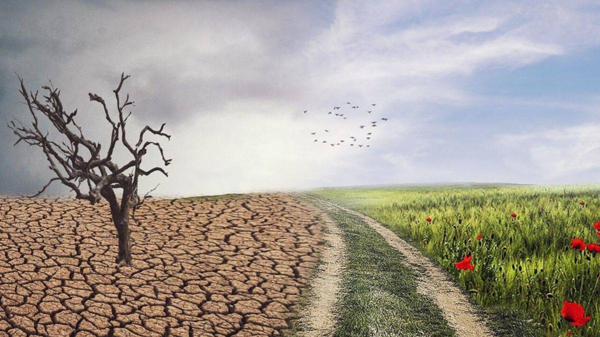 'İklimi değil havaları değiştiriyorlar'