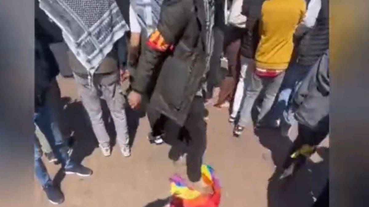 Diyarbakır'daki Nevruz kutlamalarında LGBT bayrağı çiğnendi