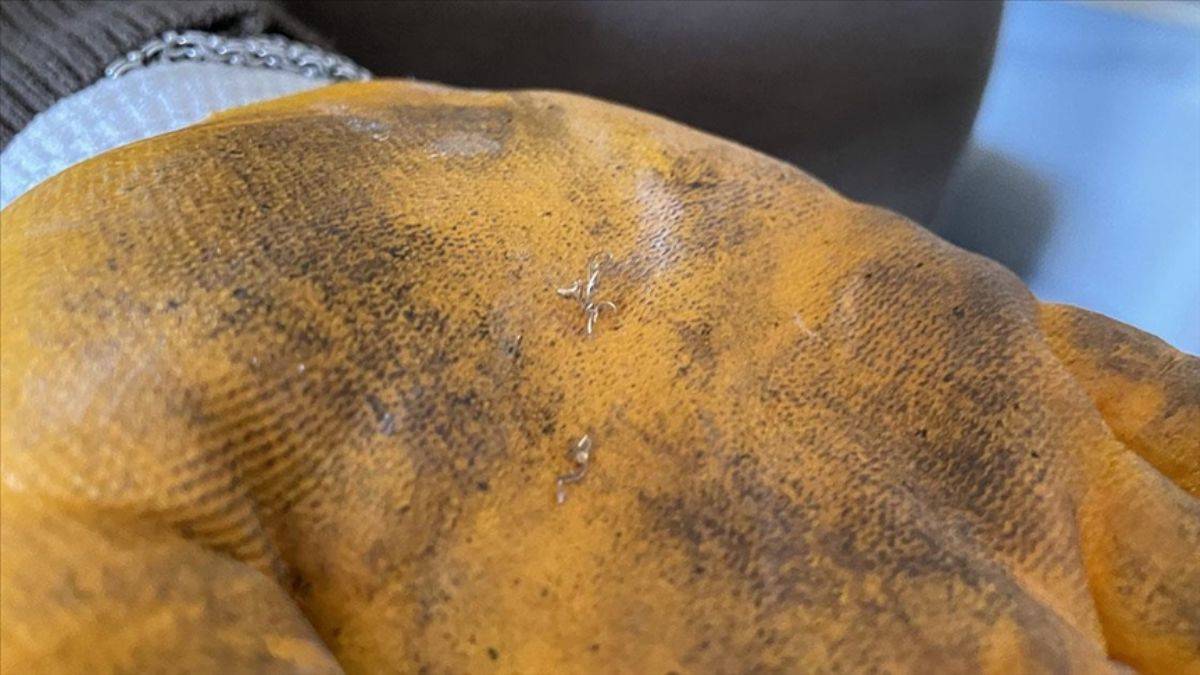 Afetzede kuyumcular iş yerlerini 'altın tozu' bırakmadan boşaltıyor