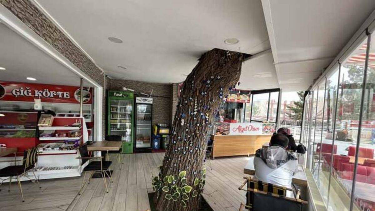 Kesmeye kıyamadığı ağacı kafenin parçası yaptı
