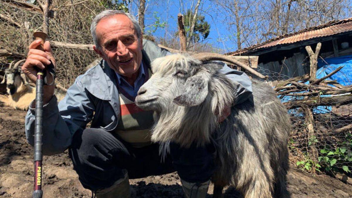 Pandemi yasakları 'sürü' sahibi yaptı