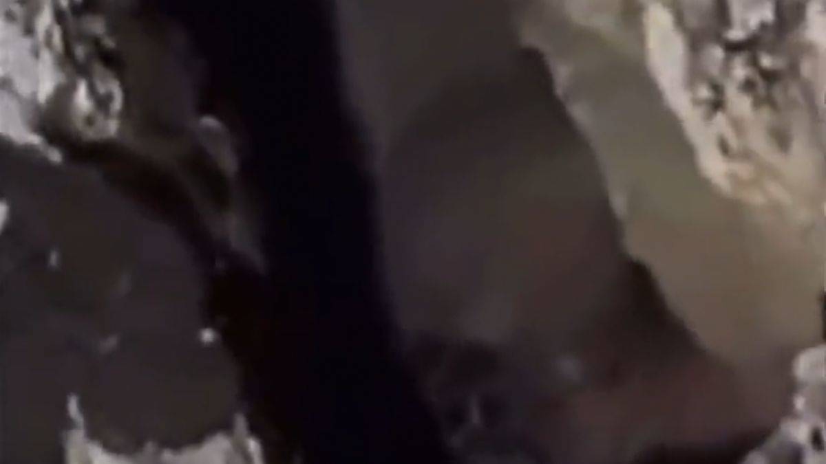 'Defineciler uzaylı mı gördü' tartışması