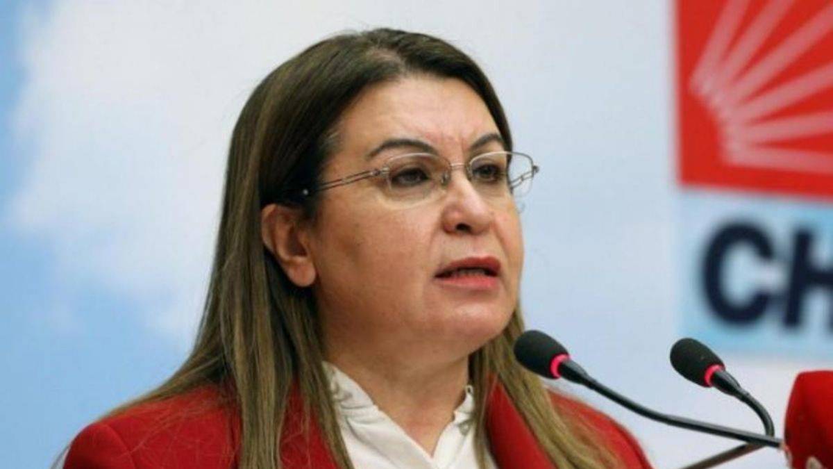 CHP'li Karaca: Nükleer enerji santrallerini iptal edeceğiz