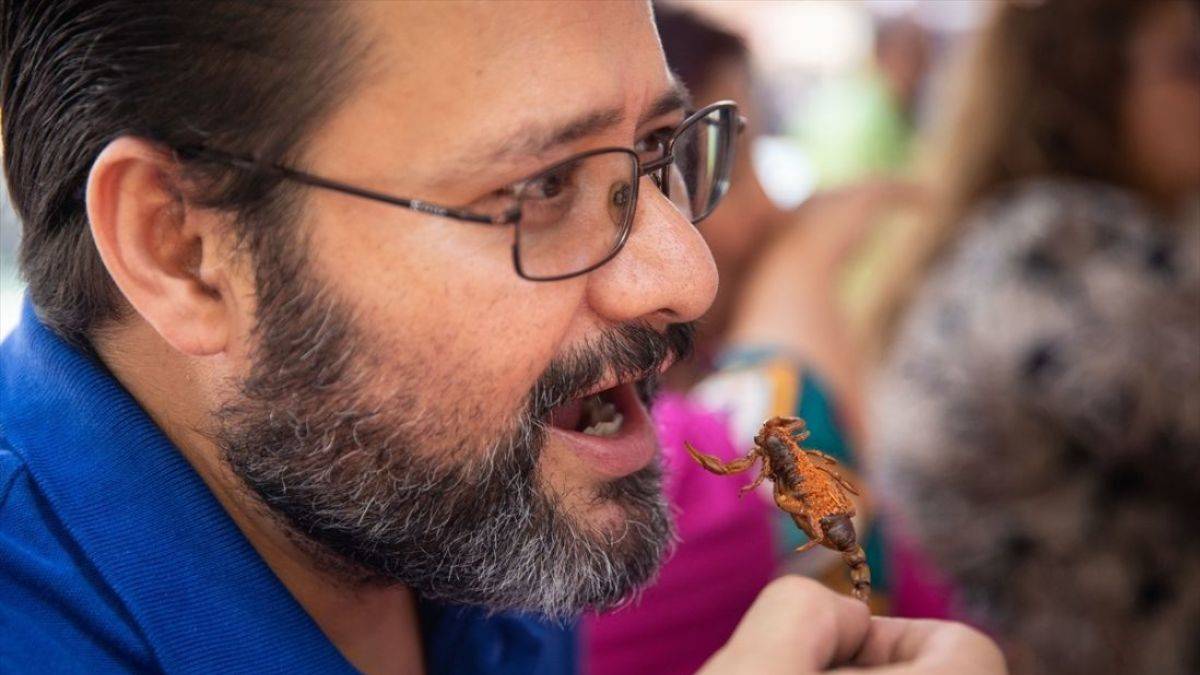 Meksika'da 'Böcek Yemekleri Festivali'